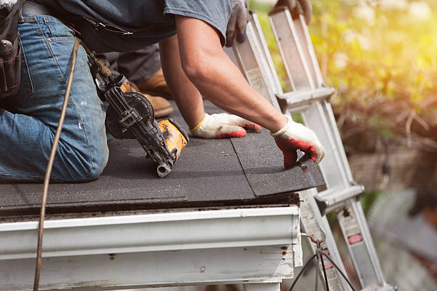 Best Metal Roofing Contractor  in Caon City, CO